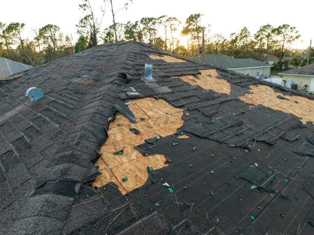 Best Roof Coating and Sealing  in Duluth, MN