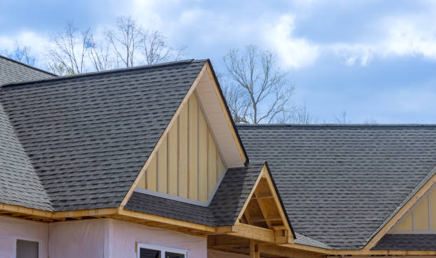 Best Roof Insulation Installation  in Duluth, MN