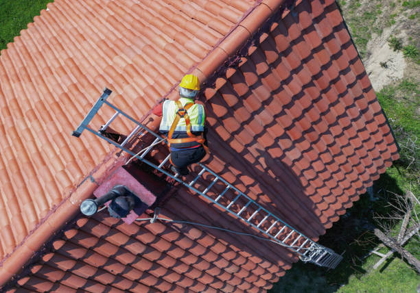 Best Solar Panel Roofing Installation  in Duluth, MN